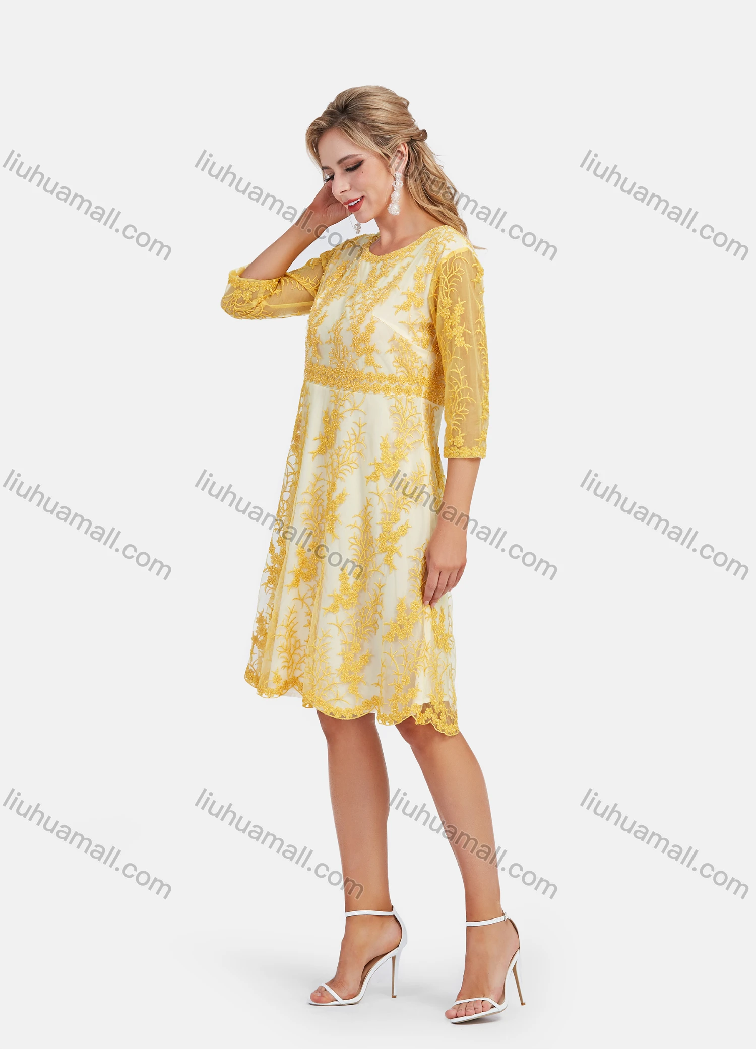 Wholesale Women's Elegant A-Line Scallop Edge Sheer Sleeve Embroidery Short Dress - Liuhuamall