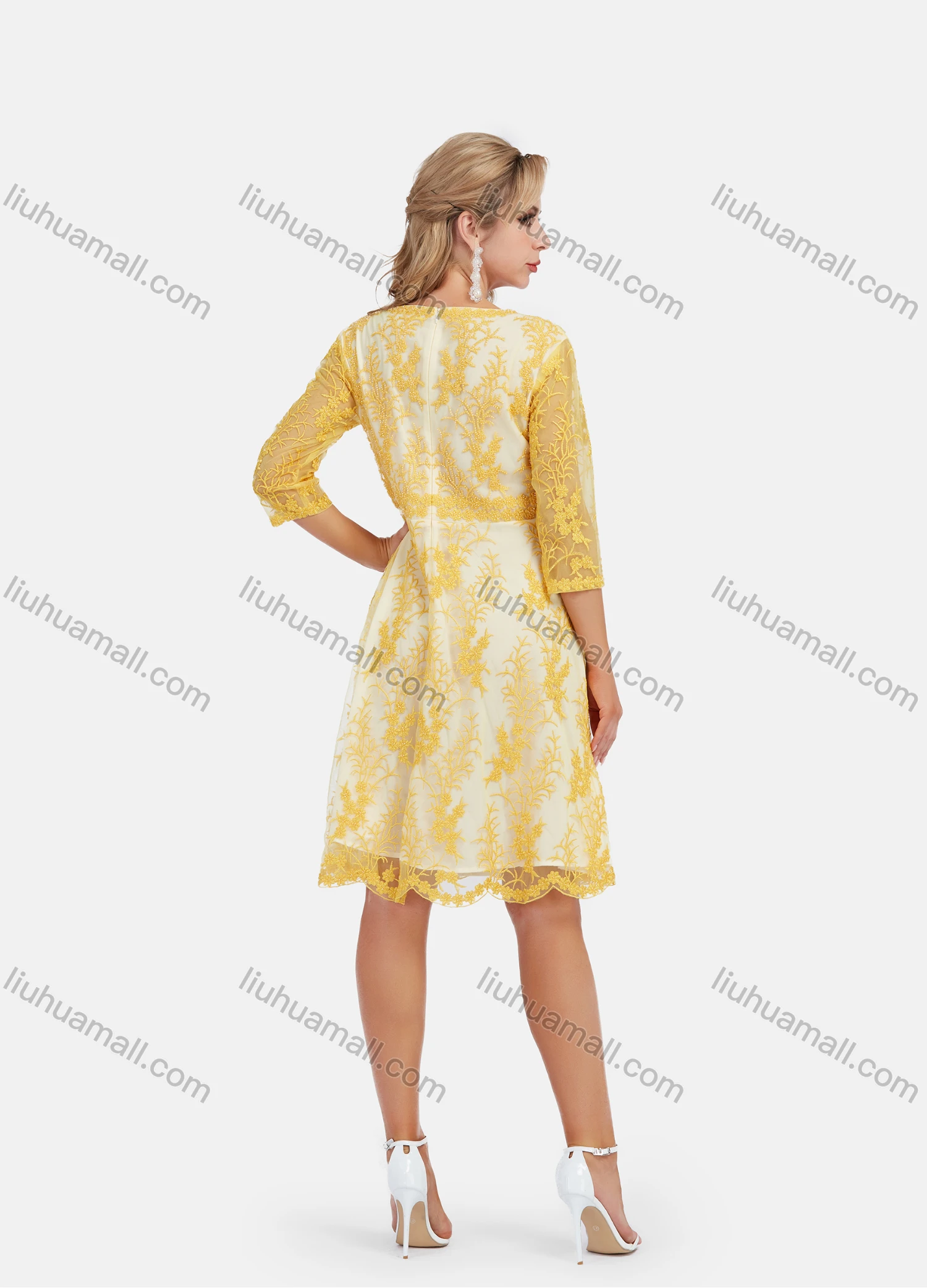 Wholesale Women's Elegant A-Line Scallop Edge Sheer Sleeve Embroidery Short Dress - Liuhuamall