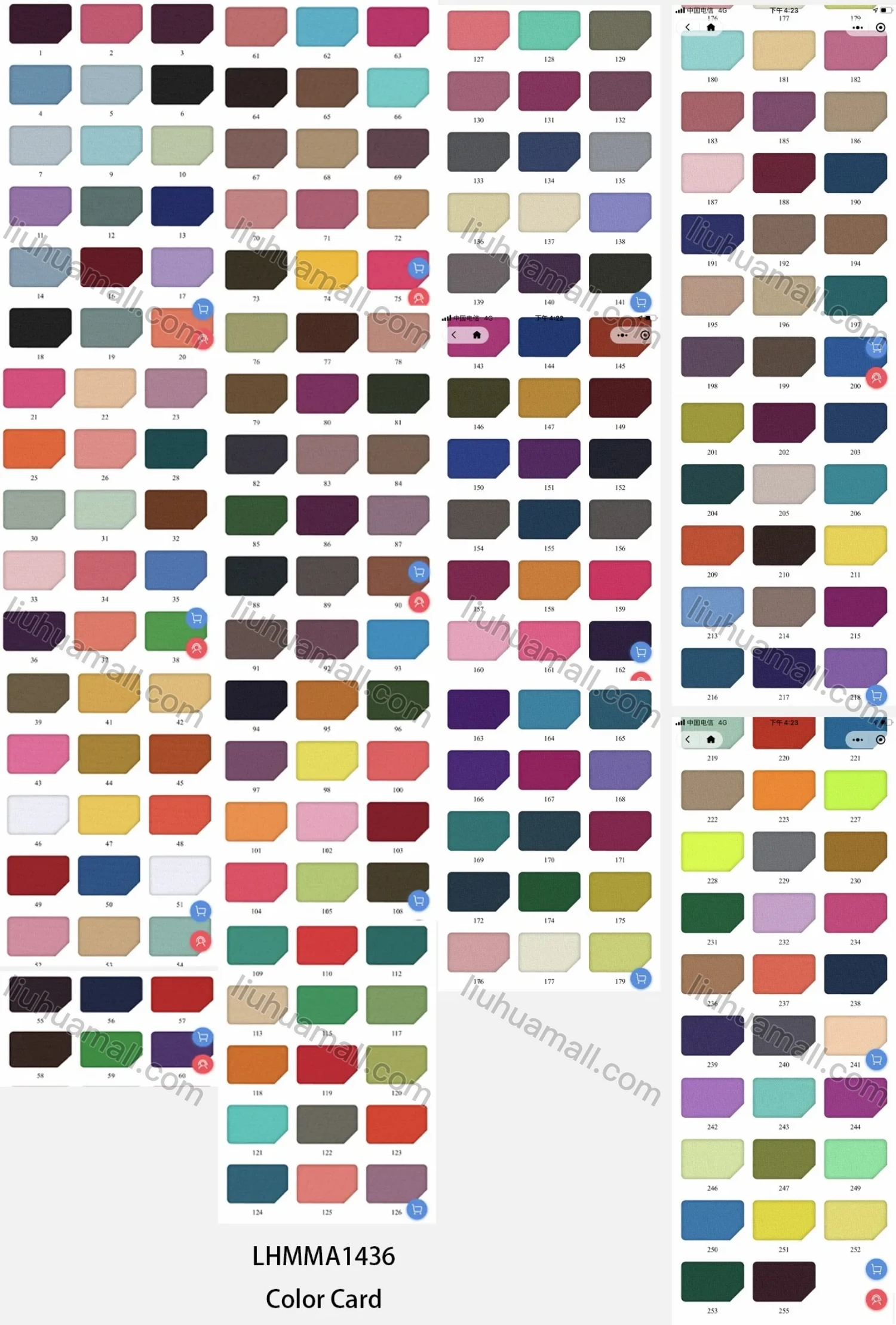 Wholesale Women's Plus Size Elegant Sheer Embroidery Plain 3/4 Sleeve Blouse FA928# - Liuhuamall