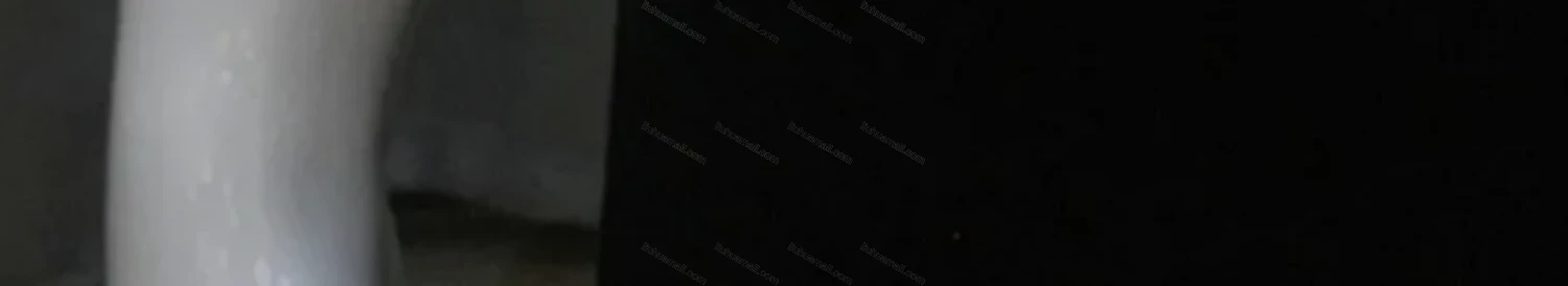 Wholesale Women's Round Neck Half Sleeve Layered Embroidered Floral Hollow Out Blouse - Liuhuamall