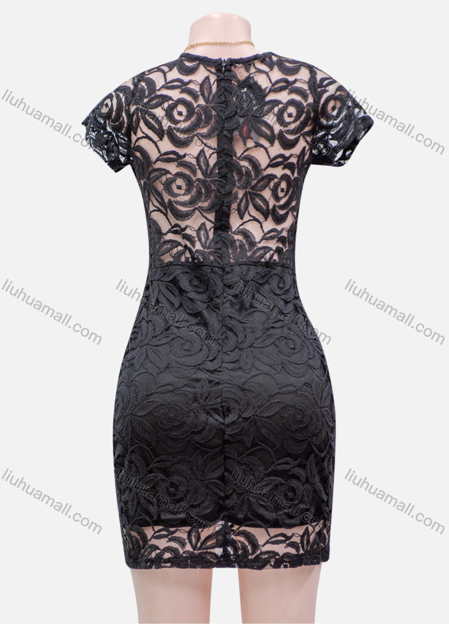 Wholesale Women's Plain Lace Applique Round Neck Sheer Short Sleeve Short Dress - Liuhuamall