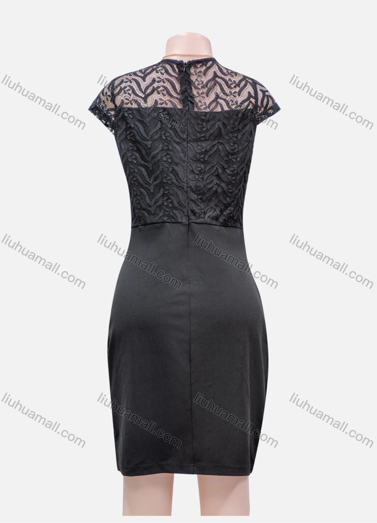 Wholesale Women's Plain Lace Appliques Guipure Lace V Neck Zip Back Short Dress - Liuhuamall