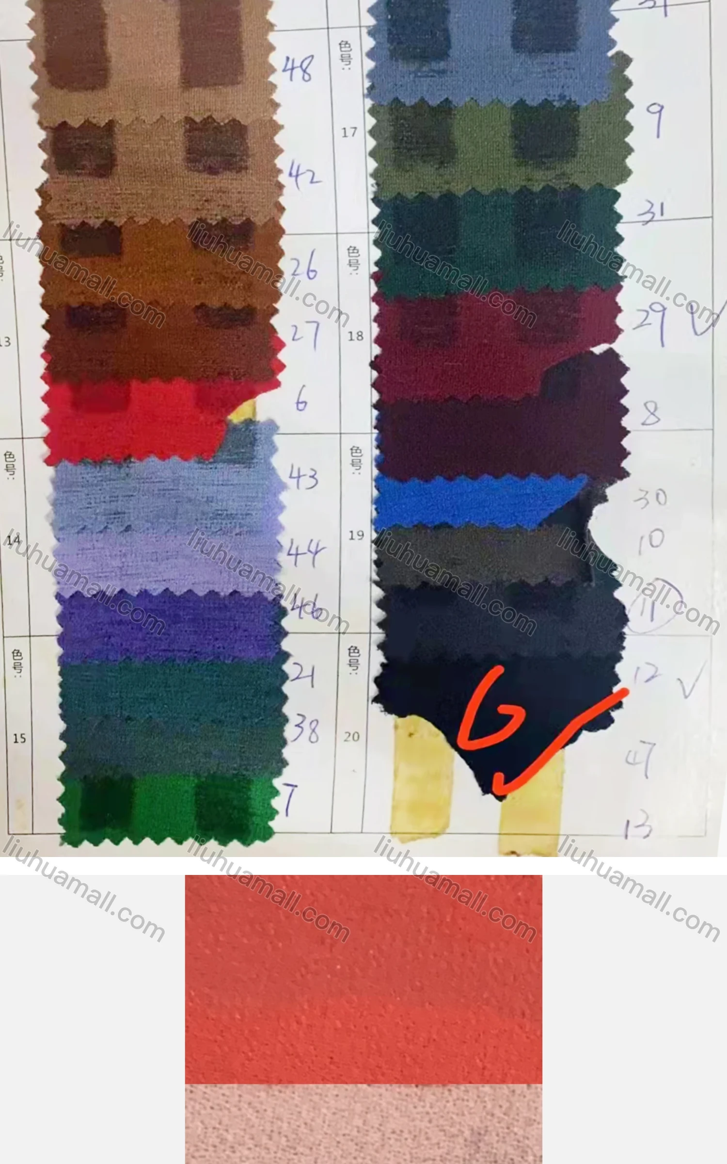 Wholesale Women's Casual Scoop Neck Short Sleeve Appliques Knit Blouse - Liuhuamall