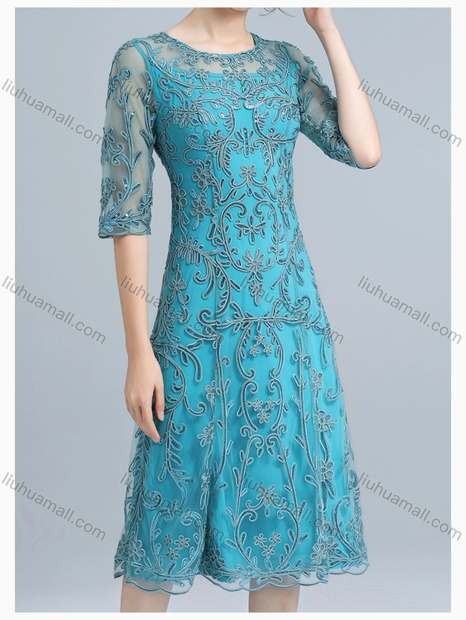 Wholesale Women's Elegant High Waist Crew Neck Sheer Mesh Half Sleeve Allover Embroidery Knee Length Dress - Liuhuamall