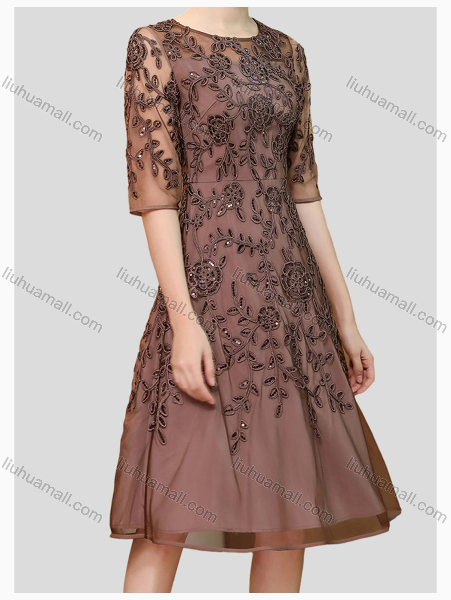 Wholesale Women's Elegant High Waist Crew Neck Short Sleeve Sheer Mesh Allover Embroidery Knee Length Dress - Liuhuamall