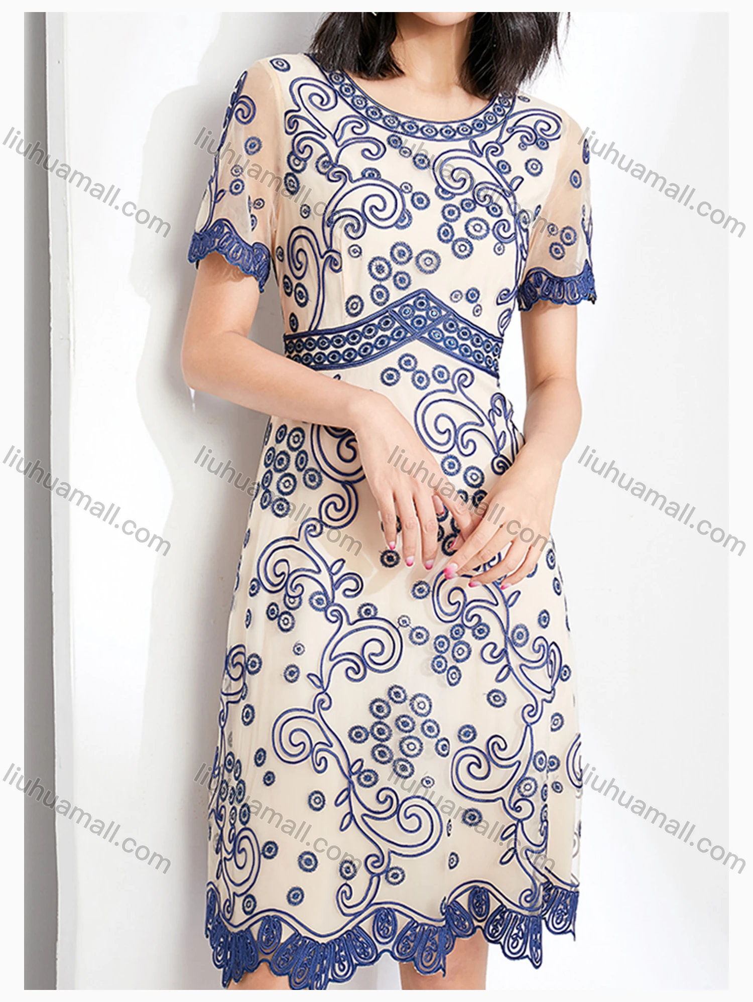 Wholesale Women's Elegant High Waist Crew Neck Short Sleeve Sheer Mesh Allover Embroidery Knee Length Dress - Liuhuamall