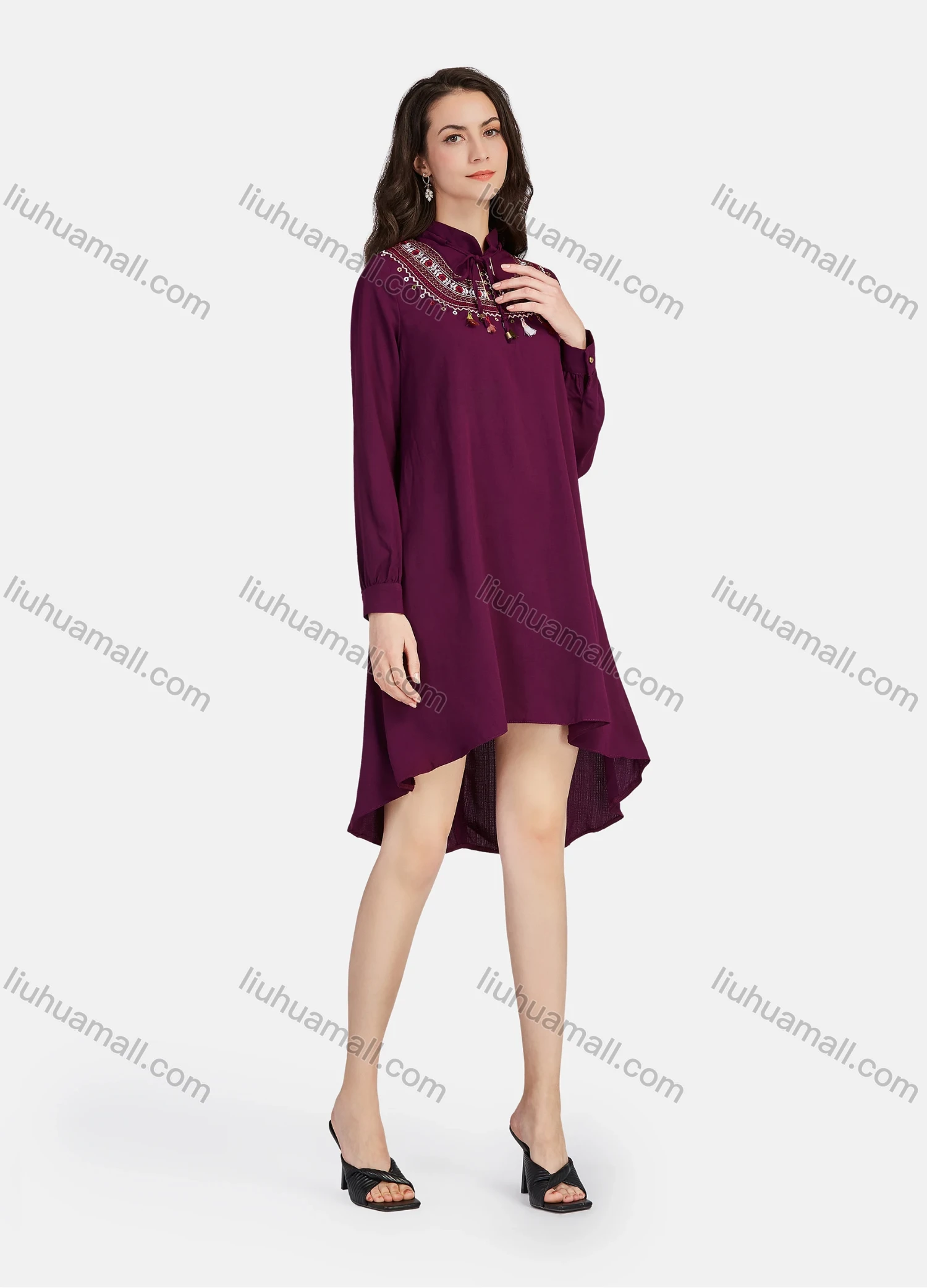 Wholesale Women's Casual Tie Neck Tassel Vintage Embroidery Long Sleeve High Low Hem Short Dress - Liuhuamall