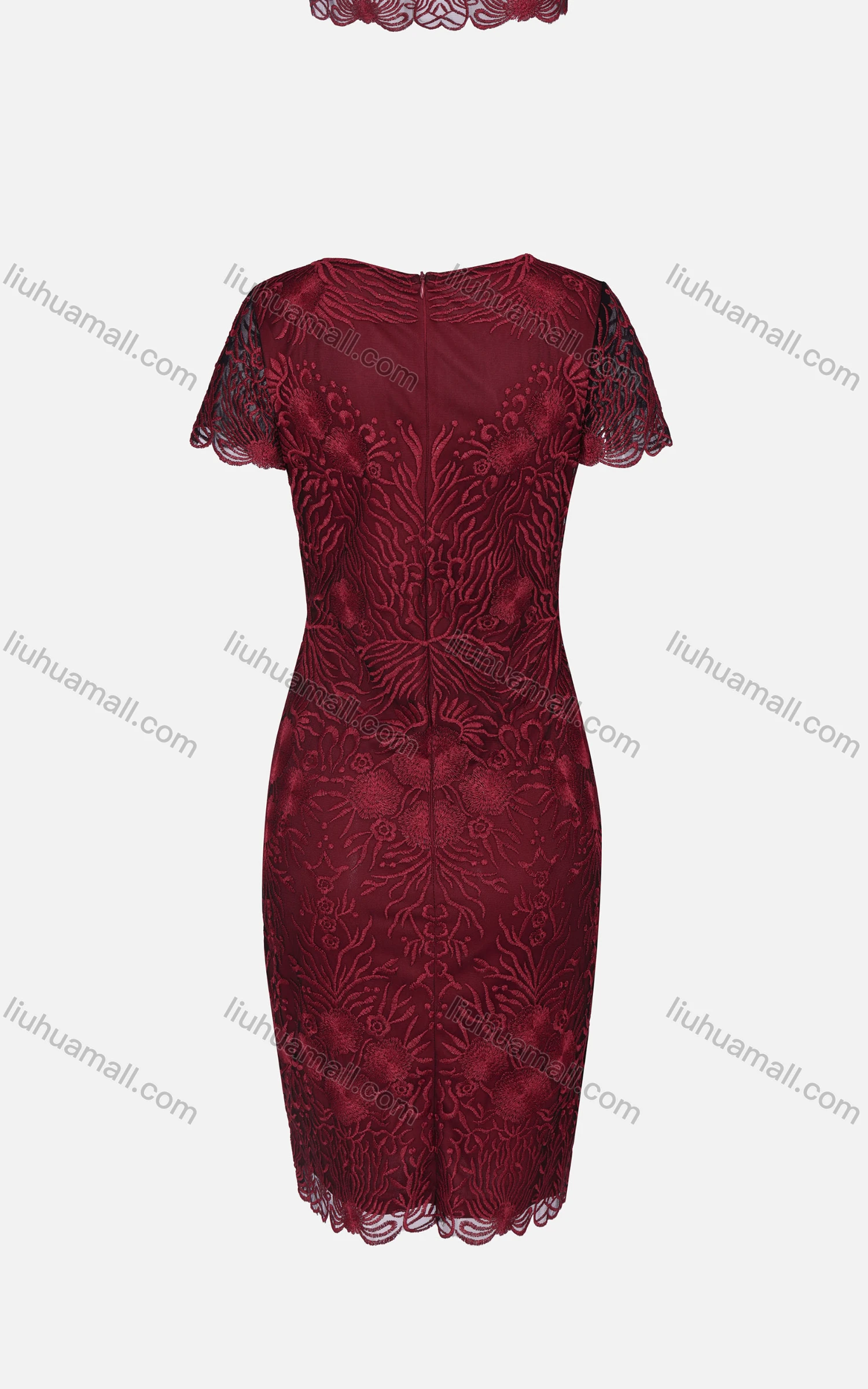 Wholesale Women's Glamorous Rhinestone Embroidered Floral Scalloped Trim Dress DS195# - Liuhuamall