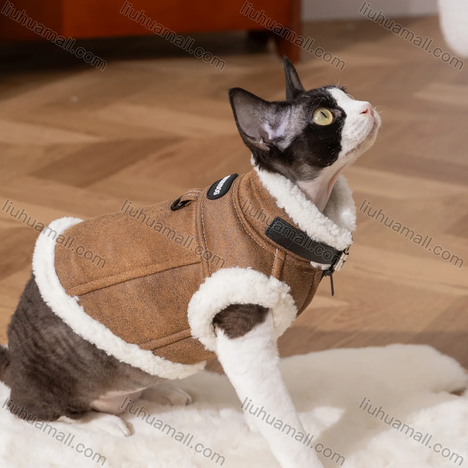 Wholesale Cat Autumn & Winter Pet Clothes Suede Fleece Drawstring Vests Two-legged Cat Clothes - Liuhuamall
