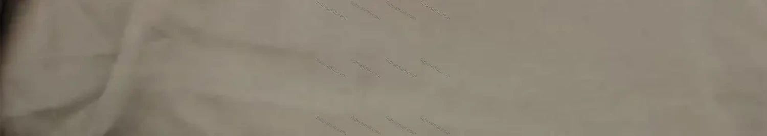 Wholesale 2026 New Striped White Blouse, Women Long Sleeve Mid-length Shirt, European American Style Loose Lazy Design Top - Liuhuamall