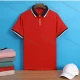 Wholesale Unisex 160g Basics Stripe Trim Plain Short Sleeve Polo Shirt S202LS# Red Clothing Wholesale Market Liuhua