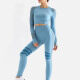 Women's 2 Piece Workout Outfits Sports Long Sleeve Seamless Leggings Yoga Gym Activewear Set AB26# Blue Clothing Wholesale Market -LIUHUA