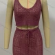 Wholesale Women's 2 Piece Scoop Neck Knitted Hollow Out Lace Up Solid Cover Up Tank Top With Skirt Red Clothing Wholesale Market Liuhua