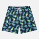 Men's Quick Dry Drawstring Side Pockets Mesh Lining Beach Shorts Black Pineapple Clothing Wholesale Market -LIUHUA