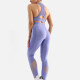 Women's 2 Piece Workout Outfits Sports Bra Seamless Leggings Yoga Gym Activewear Set AB36# Purple Clothing Wholesale Market -LIUHUA