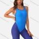 Wholesale Women's One Piece Cutout Back Kneeskin Colorblock Athletic Professional Swimsuit Blue Clothing Wholesale Market Liuhua