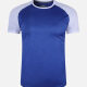 Men's Quick Dry Comfy Workout Raglan Sleeve Colorblock Athletic T-Shirt 3005# Blue Clothing Wholesale Market -LIUHUA