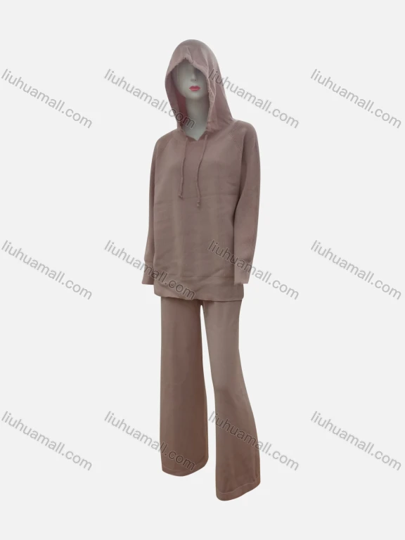 Wholesale Women's Casual Plain Drawstring Long Sleeve Hoodies & Pants 2-Piece Set