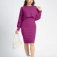 Women's Casual 2-Piece Plain Round Neck Long Sleeve Crop Top & Bodycon Dress Sets B698# Clothing Wholesale Market -LIUHUA