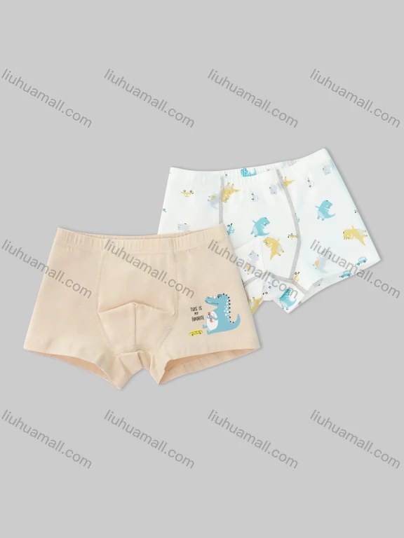 Wholesale Boys Cute Graphic Boyshort Underwear Panties (2 Pieces of Pack) ND803#