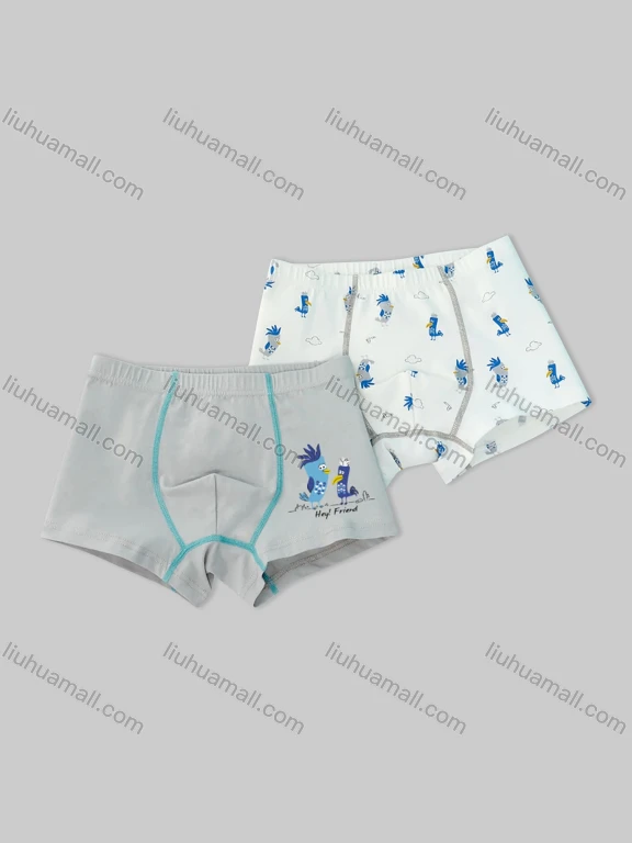 Wholesale Boys Cute Graphic Boyshort Underwear Panties (2 Pieces of Pack) ND805#