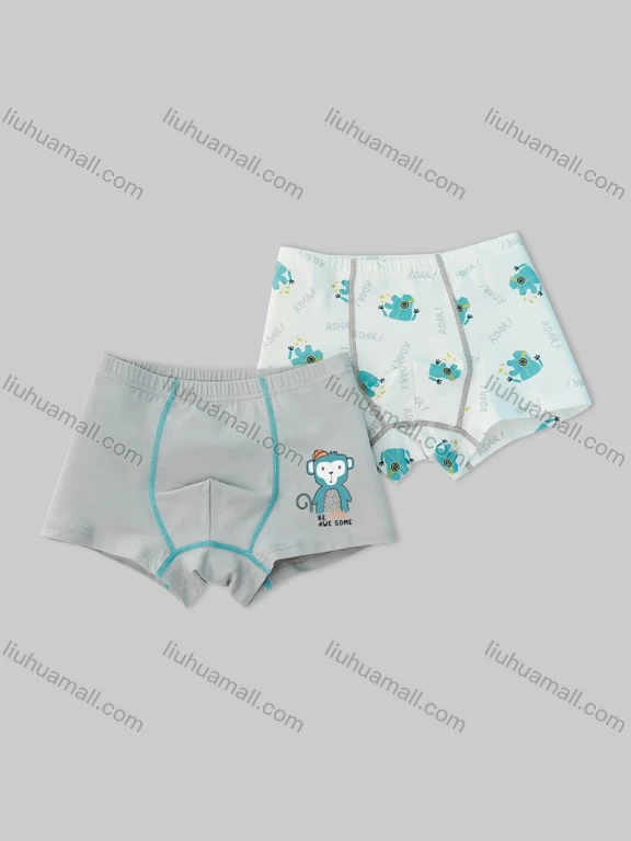 Wholesale Boys Cute Graphic Boyshort Underwear Panties (2 Pieces of Pack) ND807#