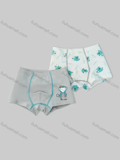 Wholesale Boys Cute Graphic Boyshort Underwear Panties (2 Pieces of Pack) ND807#