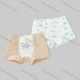 Wholesale Boys Cute Graphic Boyshort Underwear Panties (2 Pieces of Pack) ND808# Style 1 Clothing Wholesale Market Liuhua