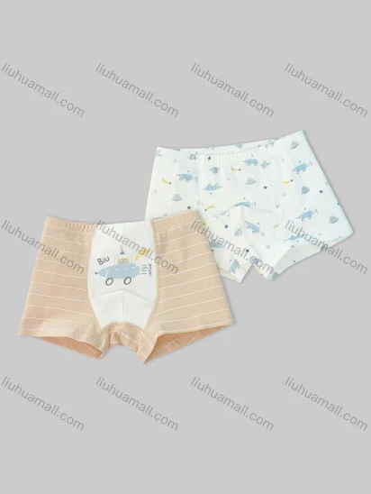 Wholesale Boys Cute Graphic Boyshort Underwear Panties (2 Pieces of Pack) ND808#