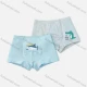 Wholesale Boys Cute Graphic Boyshort Underwear Panties (2 Pieces of Pack) ND809# Style 1 Clothing Wholesale Market Liuhua