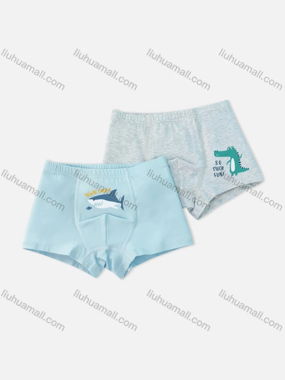 Wholesale Boys Cute Graphic Boyshort Underwear Panties (2 Pieces of Pack) ND809#