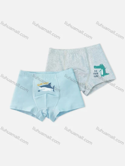 Wholesale Boys Cute Graphic Boyshort Underwear Panties (2 Pieces of Pack) ND809#
