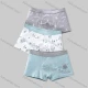 Wholesale Boys Cute Graphic Elastic Waistband Boyshort Underwear Panties (3 Pieces of Pack) ND501# Style 1 Clothing Wholesale Market Liuhua