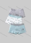 Wholesale Boys Cute Graphic Elastic Waistband Boyshort Underwear Panties (3 Pieces of Pack) ND501# - Liuhuamall