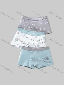 Wholesale Boys Cute Graphic Elastic Waistband Boyshort Underwear Panties (3 Pieces of Pack) ND501#, LIUHUA CLOTHING WHOLESALE