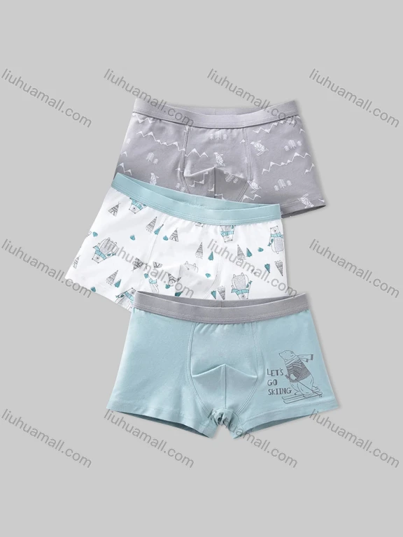 Wholesale Boys Cute Graphic Elastic Waistband Boyshort Underwear Panties (3 Pieces of Pack) ND501#