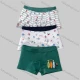 Wholesale Boys Cute Graphic Elastic Waistband Boyshort Underwear Panties (3 Pieces of Pack) N503# Style 1 Clothing Wholesale Market Liuhua