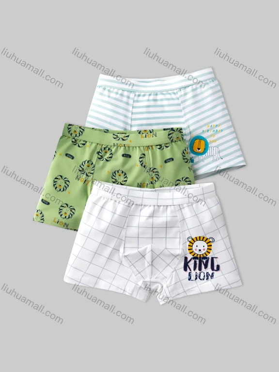 Wholesale Boys Cute Graphic Elastic Waistband Boyshort Underwear Panties (3 Pieces of Pack) N505#