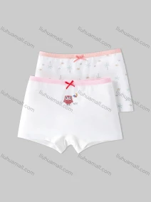 Wholesale Girls Assorted Colors Lovely Graphic Underwear Boxer Panties (2 Pieces of Pack) GD207#, LIUHUA CLOTHING WHOLESALE