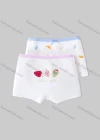 Wholesale Girls Assorted Colors Lovely Graphic Underwear Boxer Panties (2 Pieces of Pack) GD210# - Liuhuamall