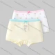 Wholesale Girls Assorted Colors Lovely Graphic Underwear Boxer Panties (2 Pieces of Pack) GD213# Style 1 Clothing Wholesale Market Liuhua
