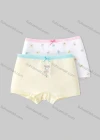 Wholesale Girls Assorted Colors Lovely Graphic Underwear Boxer Panties (2 Pieces of Pack) GD213# - Liuhuamall