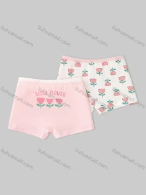 Wholesale Girls Assorted Colors Lovely Graphic Underwear Boxer Panties (2 Pieces of Pack), LIUHUA CLOTHING WHOLESALE