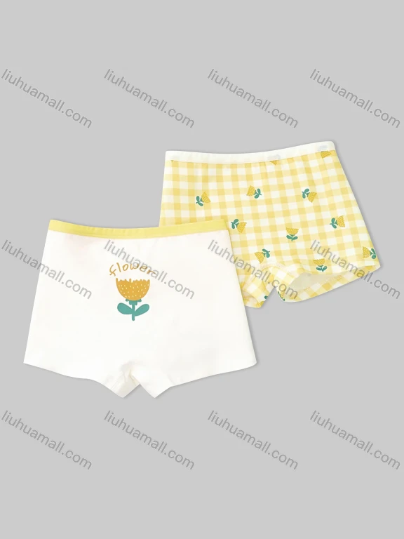 Wholesale Girls Assorted Colors Lovely Graphic Underwear Boxer Panties (2 Pieces of Pack) GD306#