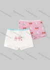 Wholesale Girls Assorted Colors Lovely Graphic Underwear Boxer Panties (2 Pieces of Pack) GD313# - Liuhuamall