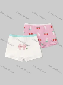 Wholesale Girls Assorted Colors Lovely Graphic Underwear Boxer Panties (2 Pieces of Pack) GD313#, LIUHUA CLOTHING WHOLESALE
