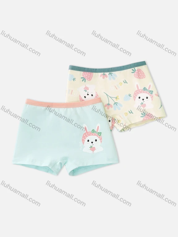 Wholesale Girls Assorted Colors Lovely Graphic Underwear Boxer Panties (2 Pieces of Pack) GD316#