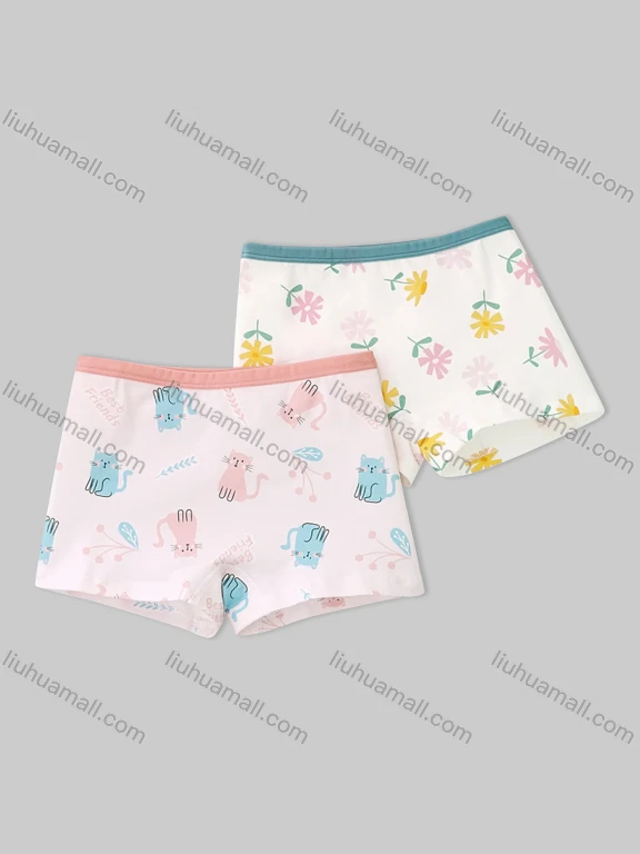 Wholesale Girls Assorted Colors Lovely Graphic Underwear Boxer Panties (2 Pieces of Pack) GD317#