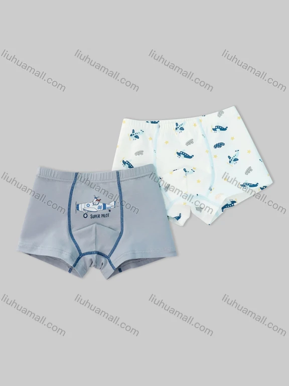 Wholesale Boys Cute Graphic Boyshort Underwear Panties (2 Pieces of Pack) ND802#
