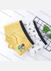 Wholesale Boys Cute Graphic Elastic Waistband Boyshort Underwear Panties (2 Pieces of Pack) - Liuhuamall